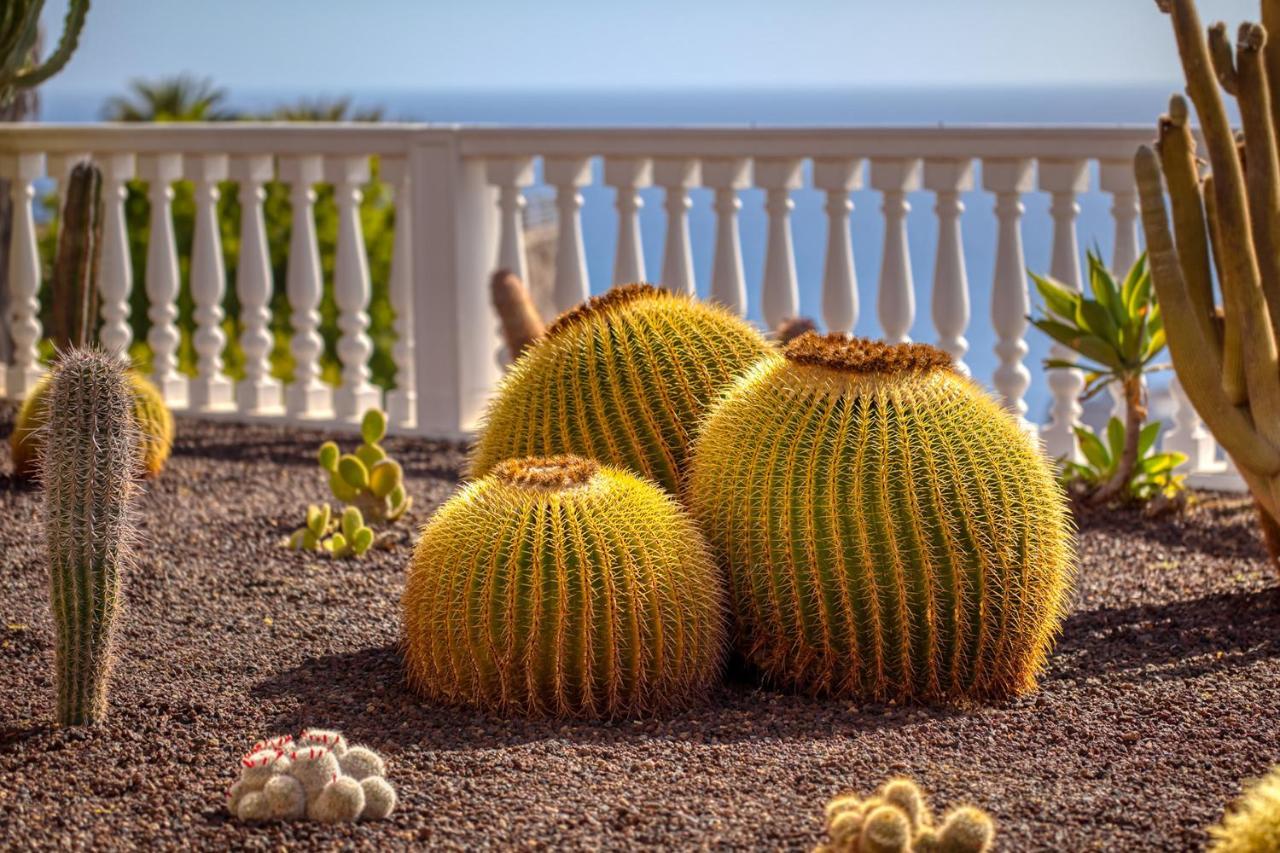 Stunning Villa With Breathtaking Ocean View Mogán Dış mekan fotoğraf